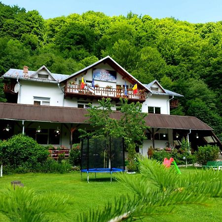 Pensiunea Valea Negrasului Trăisteni Exteriér fotografie