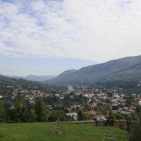 Pensiunea Valea Negrasului Trăisteni Exteriér fotografie