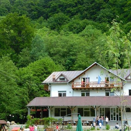 Pensiunea Valea Negrasului Trăisteni Exteriér fotografie
