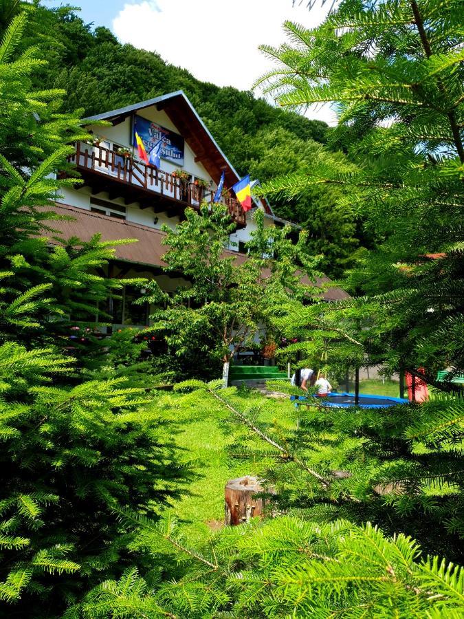 Pensiunea Valea Negrasului Trăisteni Exteriér fotografie