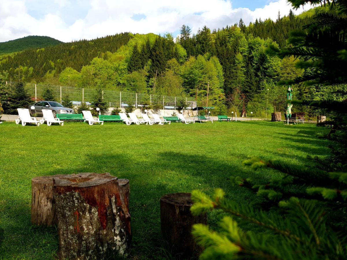 Pensiunea Valea Negrasului Trăisteni Exteriér fotografie