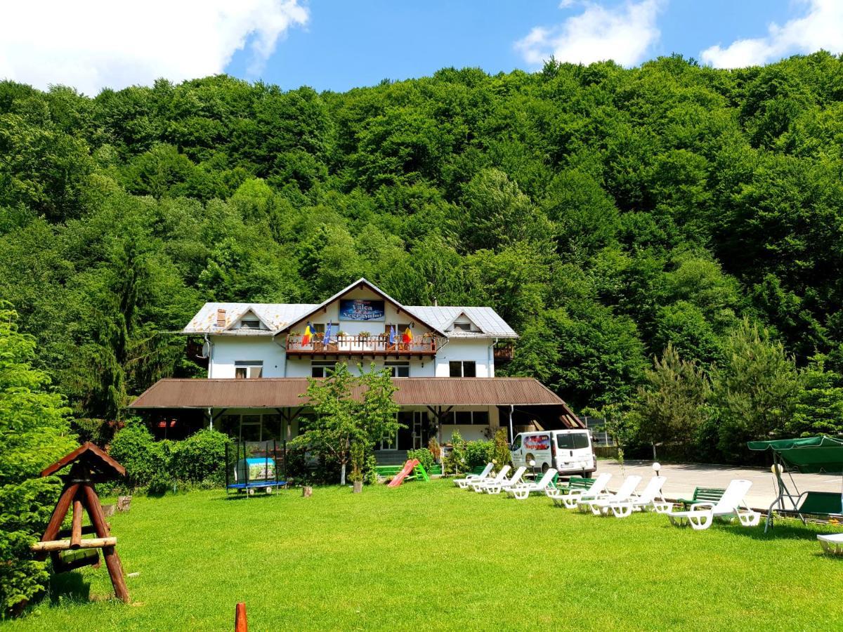 Pensiunea Valea Negrasului Trăisteni Exteriér fotografie