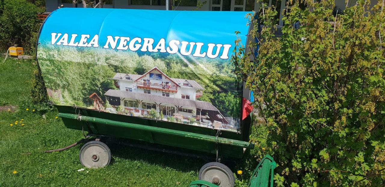 Pensiunea Valea Negrasului Trăisteni Exteriér fotografie