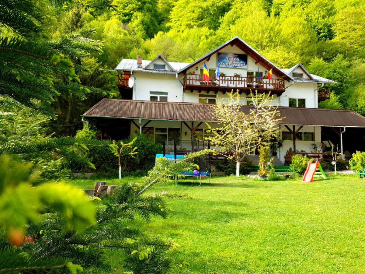 Pensiunea Valea Negrasului Trăisteni Exteriér fotografie