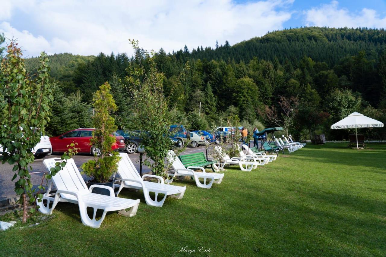 Pensiunea Valea Negrasului Trăisteni Exteriér fotografie