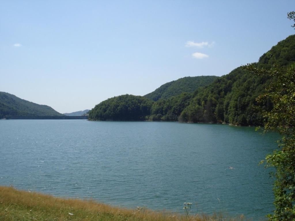 Pensiunea Valea Negrasului Trăisteni Exteriér fotografie