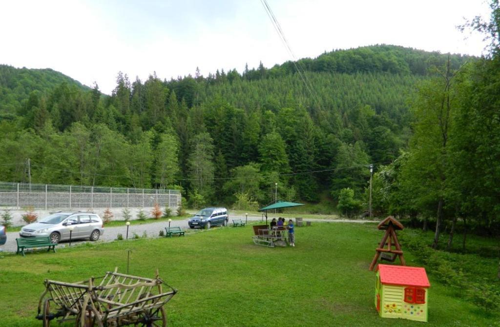Pensiunea Valea Negrasului Trăisteni Exteriér fotografie