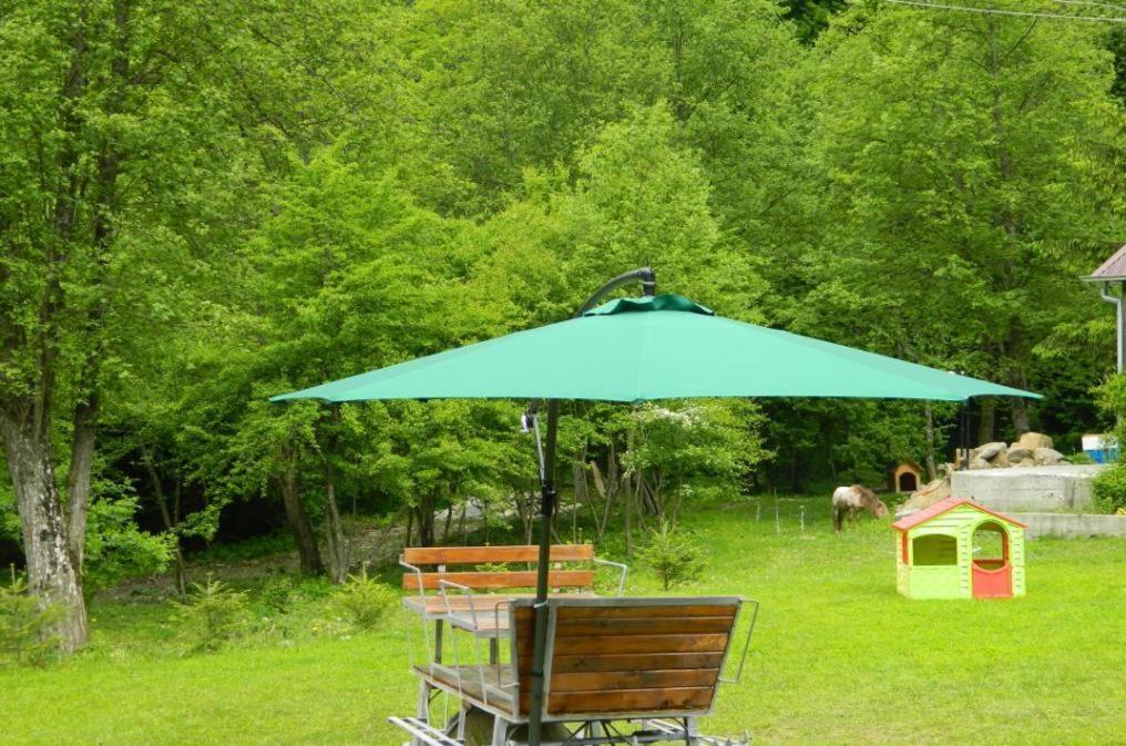 Pensiunea Valea Negrasului Trăisteni Exteriér fotografie