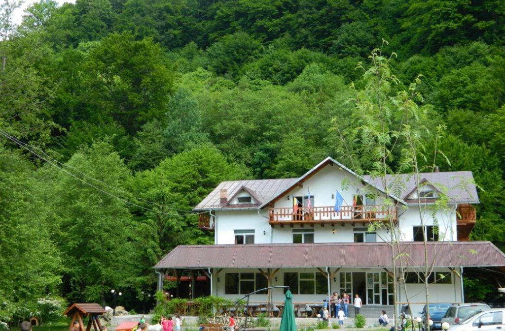 Pensiunea Valea Negrasului Trăisteni Exteriér fotografie